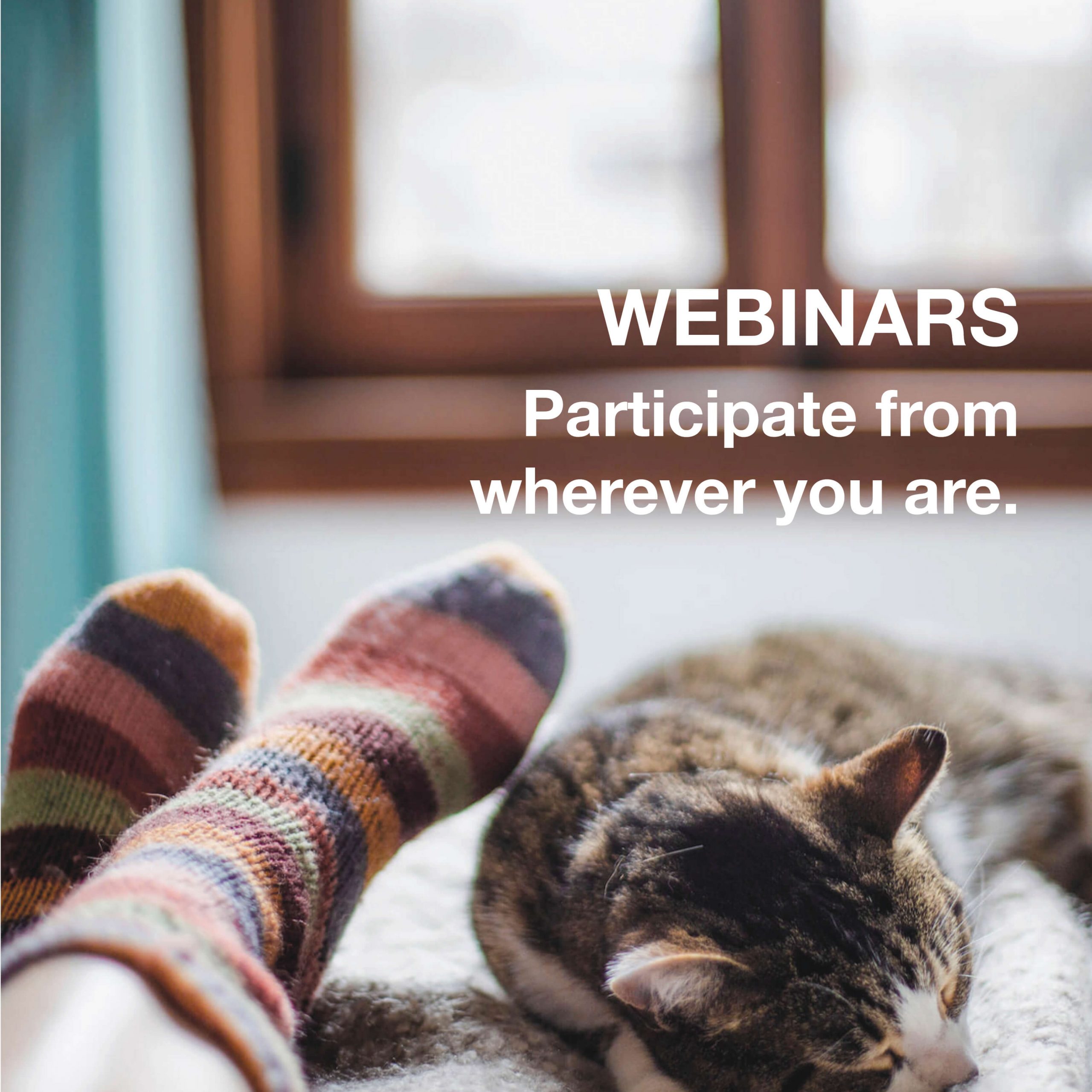 N4YK Academ: Webinars / Training for nannies, maternity nurses, familymanager and other household staff.